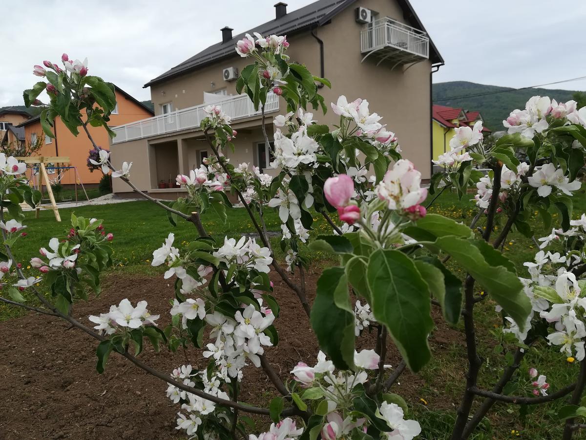 Apartment And Rooms Aracic 科雷尼察 外观 照片